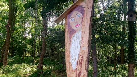 Jak żyje się w pomalowanych domach? Odwiedzamy Brzózki/fot. Dorota Witt
