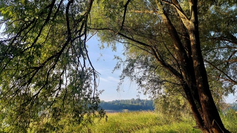 Poranny spacer nad Wisłę. Fot. Dorota Witt/PR PiK