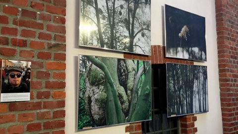Fotoimpresje z wystawy podopiecznych toruńskiej Fundacji Dorotkowo. Fot. nadesłane