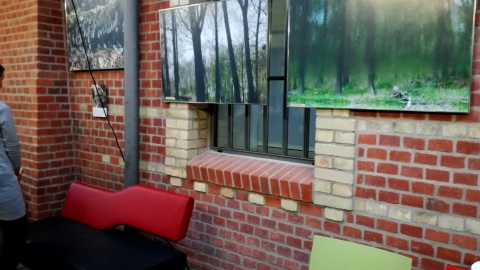Fotoimpresje z wystawy podopiecznych toruńskiej Fundacji Dorotkowo. Fot. nadesłane