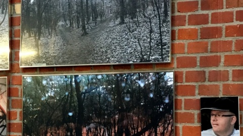 Fotoimpresje z wystawy podopiecznych toruńskiej Fundacji Dorotkowo. Fot. nadesłane