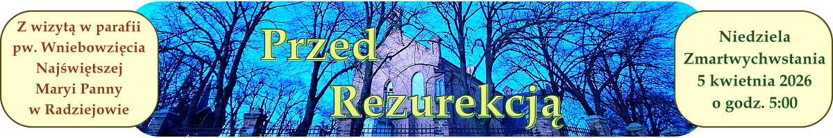 Poznaj historię parafii pw. Wniebowzięcia Najświętszej Maryi Pan