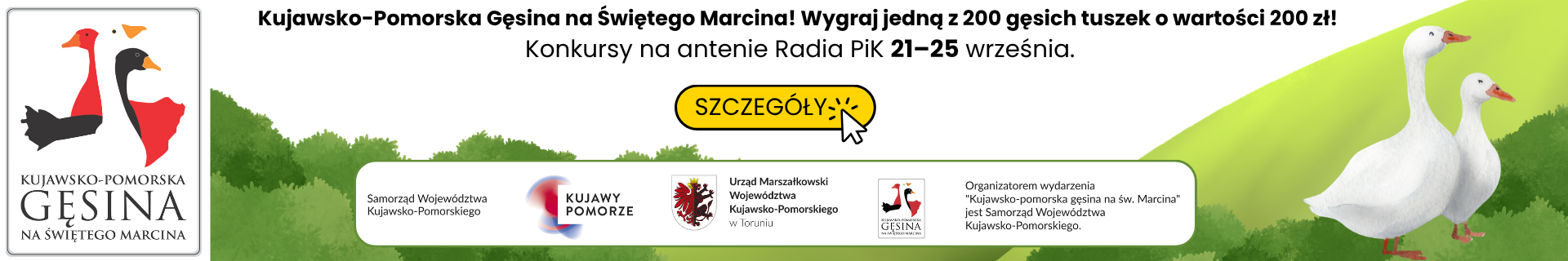 Kujawsko-Pomorska Gęsina na świętego Marcina