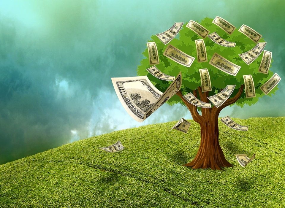 Jak przeciwdziałać tzw. „greenwashingowi”? Fot. ilustracyjna/kalhh/pixabay.com