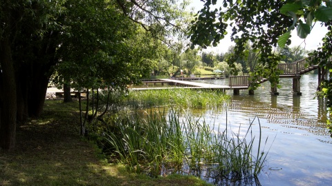 Ale PiKne Lato w Cekcynie. Fot. Henryk Żyłkowski