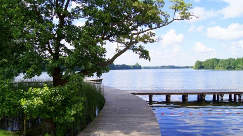 Ale PiKne Lato w Cekcynie. Fot. Henryk Żyłkowski