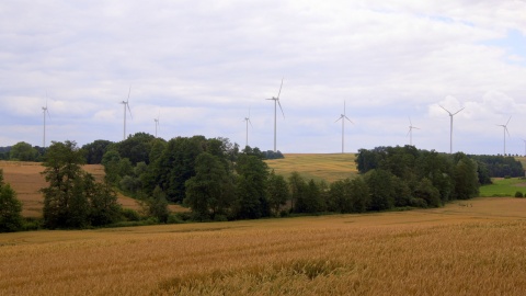 Ale PiKne Lato w Świeciu nad Osą. Fot. Henryk Żyłkowski
