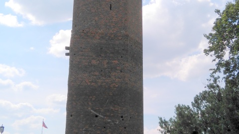 Fot. Krystyna Kuras.