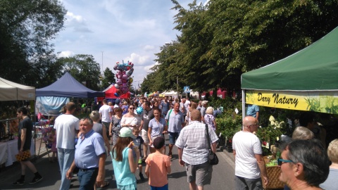 Fot. Krystyna Kuras.