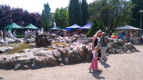 Fot. Krystyna Kuras.