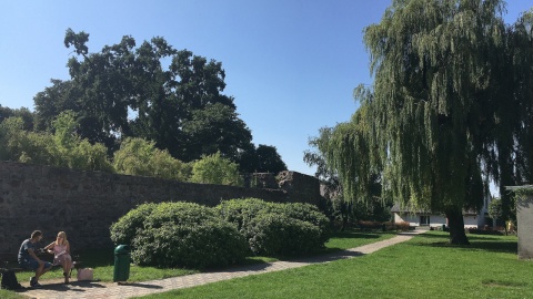 Fot. Krystian Makowski.