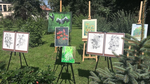 Prace członków Stowarzyszenia Artystów Amatorów. Fot. Krystian Makowski.