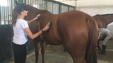 Stadnina w Wiecanowie. Fot. Krystian Makowski.