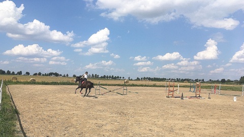 Stadnina w Wiecanowie. Fot. Krystian Makowski.