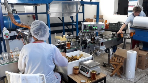 Konfekcjonowanie miodu. Fot. Sławomir Nowak.