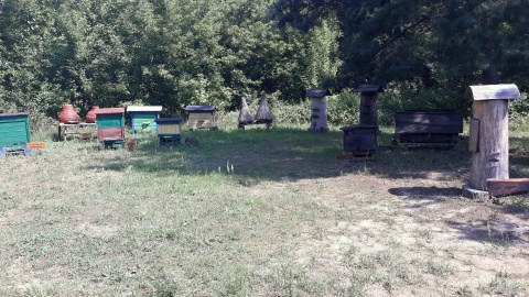 Fot. Sławomir Nowak.