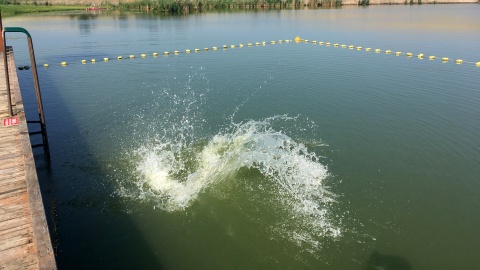 Próba wody nad Jeziorem Czarownic. Fot. Krystian Makowski.
