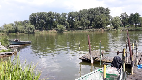 Jezioro Gopło. Fot. Sławomir Nowak.