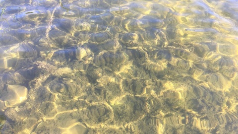 Przejrzysta woda w smerzyńskim jeziorze. Fot. Krystian Makowski.