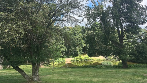 Park Krajobrazowy otaczający Pałac w Lubostroniu. Fot. Krystian Makowski.