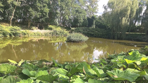 Park Krajobrazowy otaczający Pałac w Lubostroniu. Fot. Krystian Makowski.