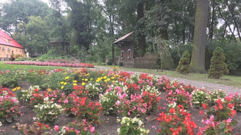 Łabiszyńska wyspa. Fot. Krystian Makowski.