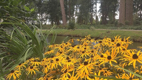 Łabiszyńska wyspa. Fot. Krystian Makowski.