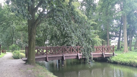 Łabiszyńska wyspa. Fot. Krystian Makowski.