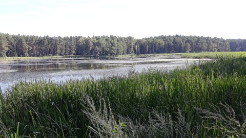 Warlubie. Fot. Sławomir Nowak.