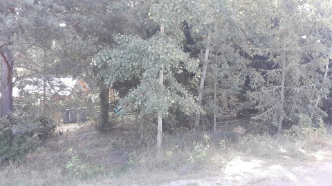 "Maciejowa Chata" w Rybnie. Fot. Sławomir Nowak.