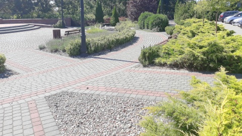 Skwer w Warlubie. Fot. Sławomir Nowak.