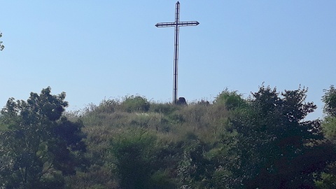 Góra Zamkowa w Dobrzyniu. Fot. Sławomir Nowak.