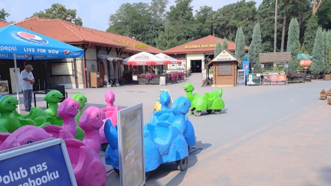 Jura Park w Solcu Kujawskim. Fot. Sławomir Nowak.