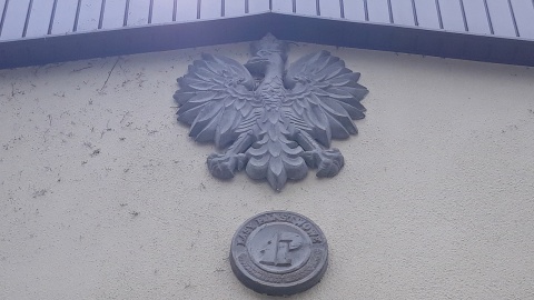 Nadleśnictwo Solec Kujawski. Fot. Sławomir Nowak.