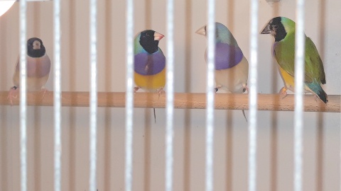 Fot. Sławomir Nowak