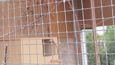 Fot. Sławomir Nowak