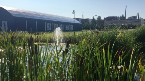 Park Rekreacji i Sportu w Radzyniu Chełmińskim. Fot. Krystian Makowski.