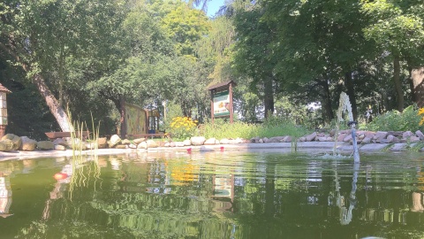 Centrum Edukacji Ekologicznej przy nadleśnictwie Dąbrowa. Fot. Krystian Makowski.