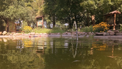 Centrum Edukacji Ekologicznej przy nadleśnictwie Dąbrowa. Fot. Krystian Makowski.