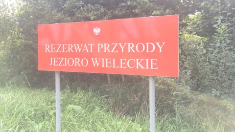Rezerwat Przyrody Jezioro Wieleckie. Fot. Krystian Makowski.