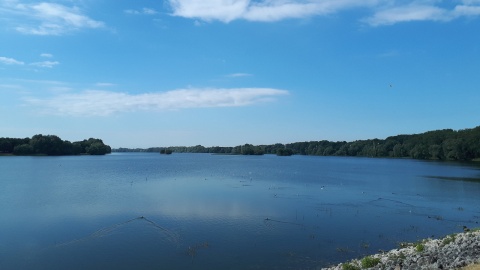 fot. Bogumiła Wresiło