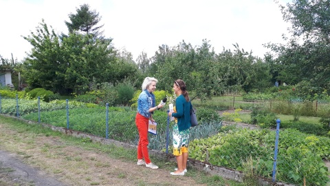 Bogumiła Wresiło z p. Moniką Chochlińską, Ogród działkowy "Stokrotka". Fot. Jan Duks.