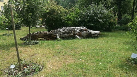 Rzeźba z Ogrodu Botanicznego UKW. Fot.Magdalena Jasińska.