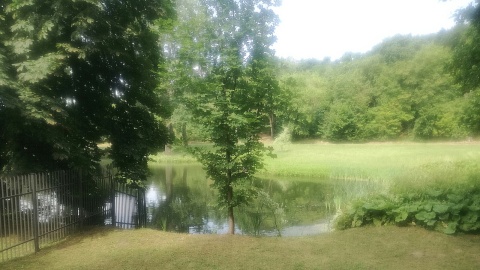 Ogród Botaniczny LPKiW. Fot. Magdalena Jasińska.