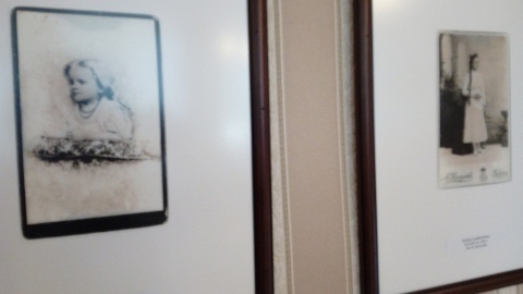 Płonne Fot. Monika Kaczyńska.