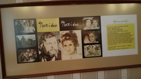 Płonne Fot. Monika Kaczyńska.