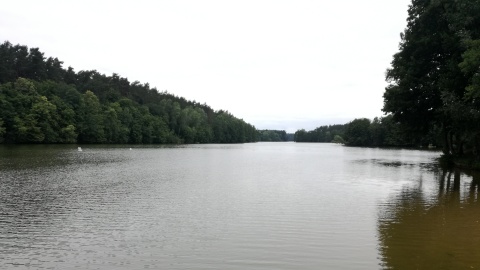 Zalew w Żurze, gmina Osie. Fot. Michał Słobodzian.