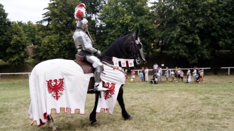 Ciężkozbrojny rycerz. Fot. Henryk Żyłkowski