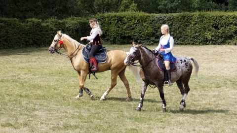 Fot. Henryk Żyłkowski