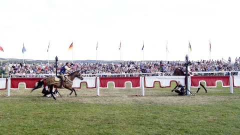 Fot. Henryk Żyłkowski